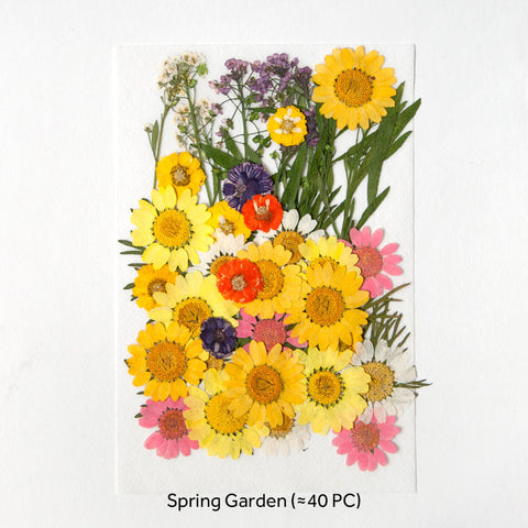 Real Dried Pressed Flowers