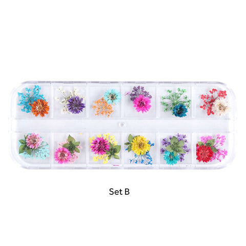 Assorted Real Dried Pressed Mini Flowers for Resin Jewellery or Nail Art