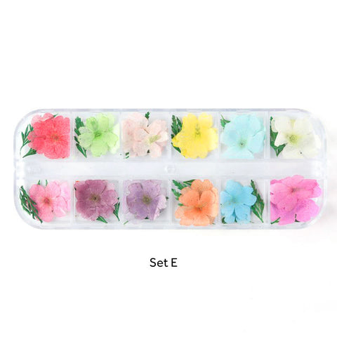 Assorted Real Dried Pressed Mini Flowers for Resin Jewellery or Nail Art