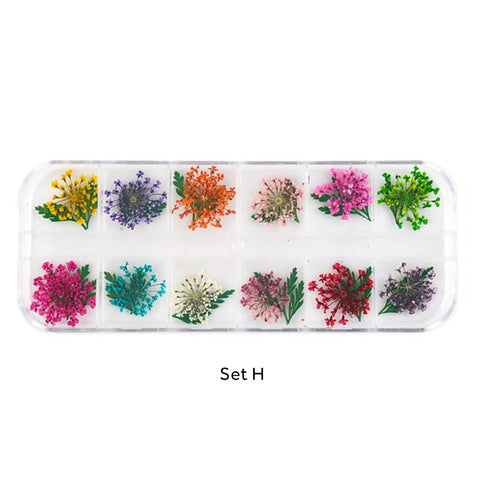 Assorted Real Dried Pressed Mini Flowers for Resin Jewellery or Nail Art