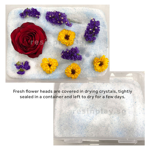 Flower Drying Crystals - Silica Sand