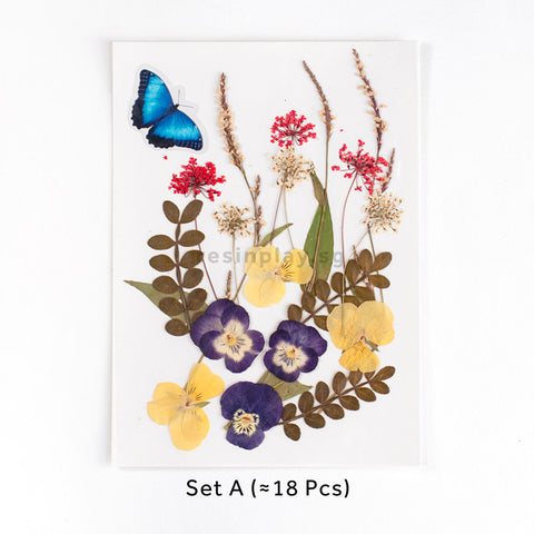 Real Dried Pressed Flowers With Butterfly