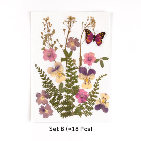 Real Dried Pressed Flowers With Butterfly