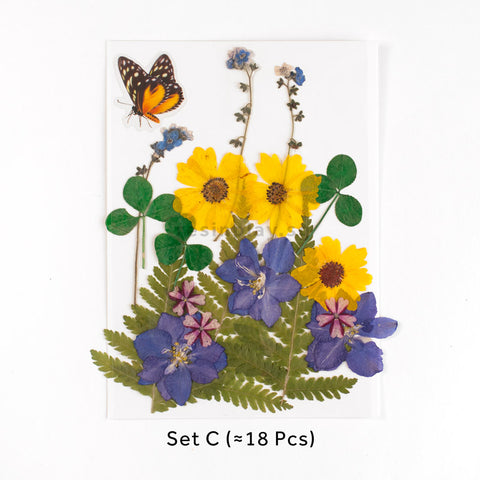 Real Dried Pressed Flowers With Butterfly