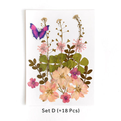 Real Dried Pressed Flowers With Butterfly