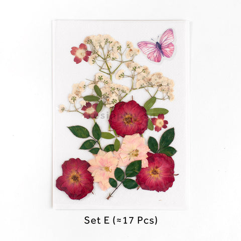 Real Dried Pressed Flowers With Butterfly
