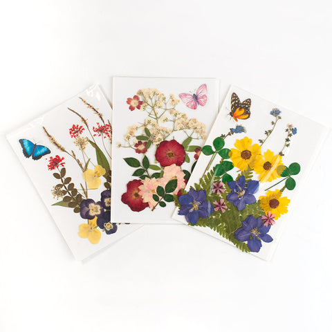 Real Dried Pressed Flowers With Butterfly