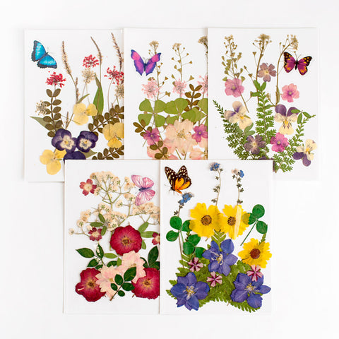 Real Dried Pressed Flowers With Butterfly