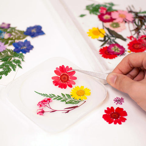 Real Dried Pressed Flowers With Butterfly