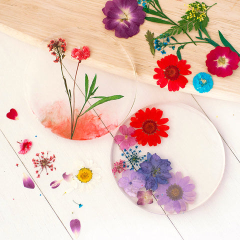 Real Dried Pressed Flowers With Butterfly