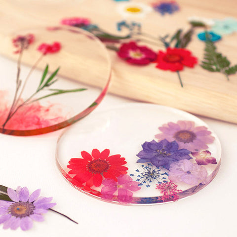 Real Dried Pressed Flowers With Butterfly