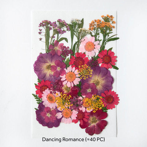 Real Dried Pressed Flowers