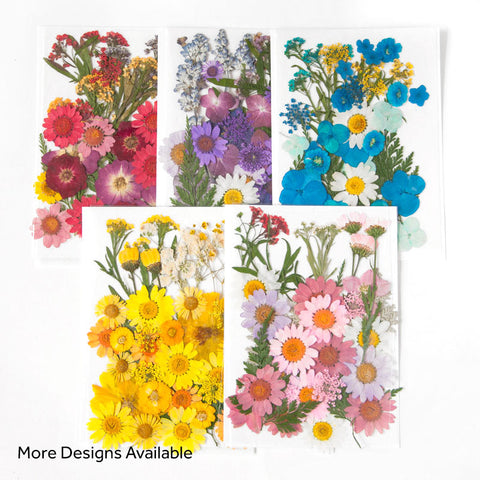 Real Dried Pressed Flowers