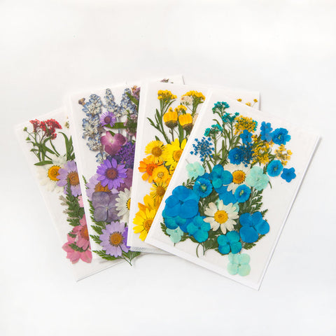 Real Dried Pressed Flowers