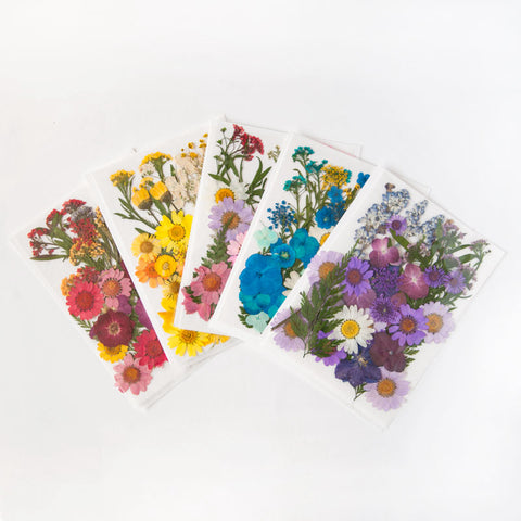 Real Dried Pressed Flowers