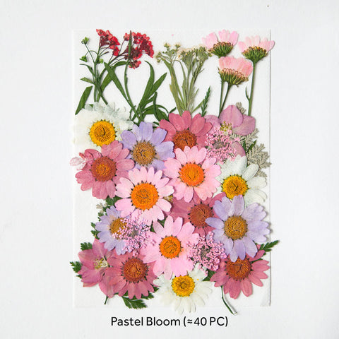 Real Dried Pressed Flowers