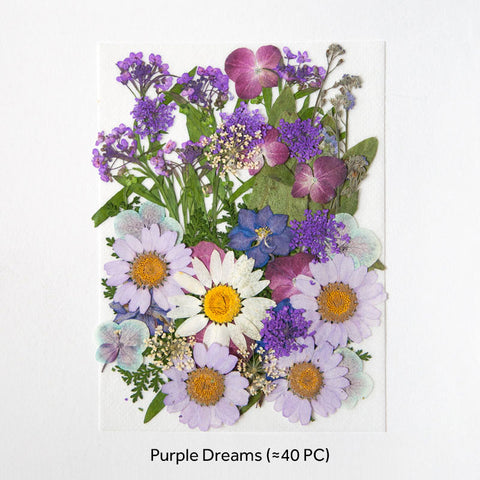 Real Dried Pressed Flowers