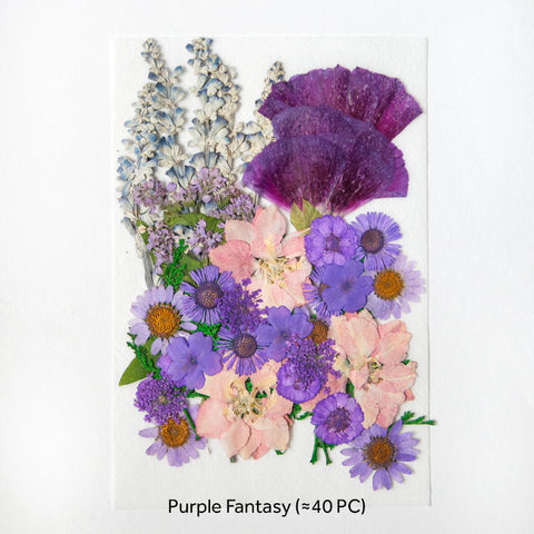 Real Dried Pressed Flowers