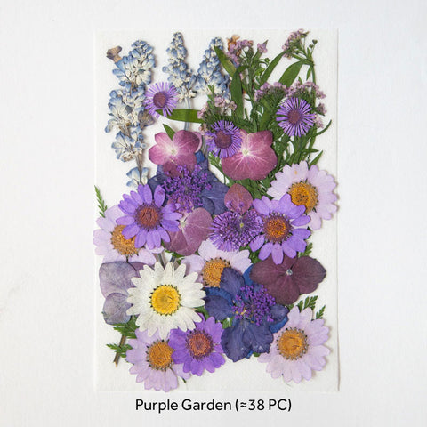 Real Dried Pressed Flowers