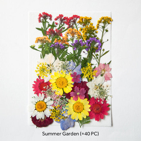 Real Dried Pressed Flowers