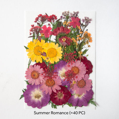 Real Dried Pressed Flowers