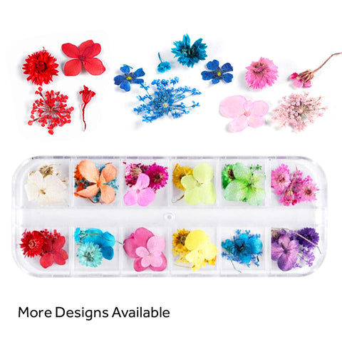 Assorted Real Dried Pressed Mini Flowers for Resin Jewellery or Nail Art