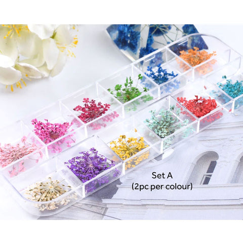 Assorted Real Dried Pressed Mini Flowers for Resin Jewellery or Nail Art