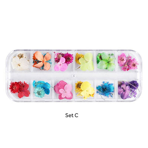 Assorted Real Dried Pressed Mini Flowers for Resin Jewellery or Nail Art