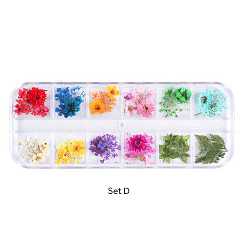 Assorted Real Dried Pressed Mini Flowers for Resin Jewellery or Nail Art
