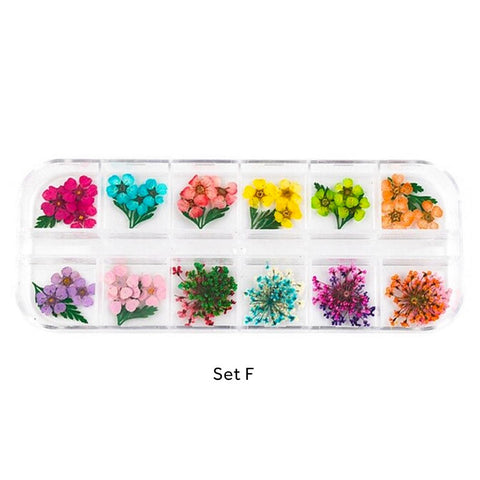 Assorted Real Dried Pressed Mini Flowers for Resin Jewellery or Nail Art