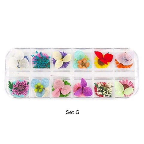 Assorted Real Dried Pressed Mini Flowers for Resin Jewellery or Nail Art