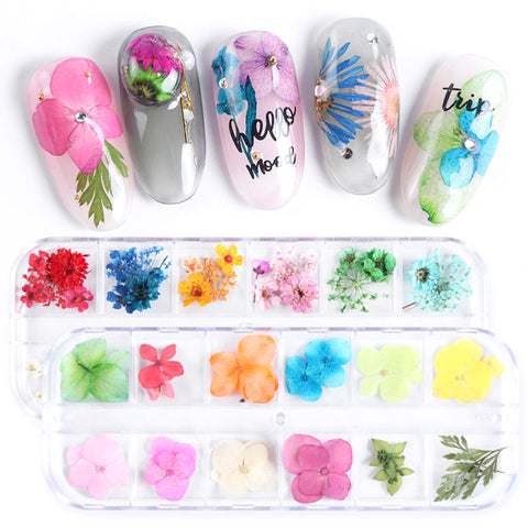 Assorted Real Dried Pressed Mini Flowers for Resin Jewellery or Nail Art