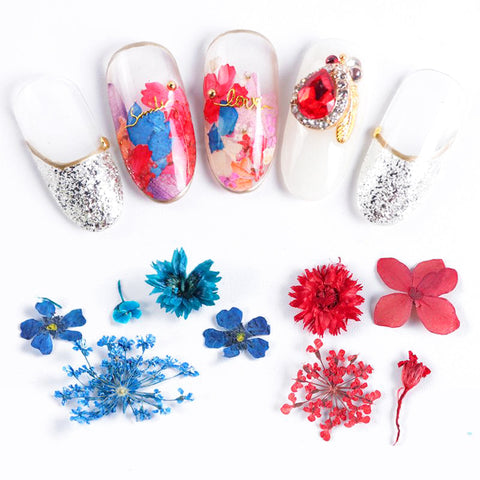 Assorted Real Dried Pressed Mini Flowers for Resin Jewellery or Nail Art