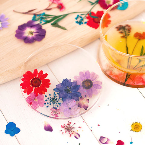 Real Dried Pressed Flowers