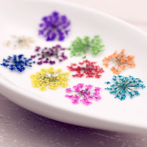 Assorted Real Dried Pressed Mini Flowers for Resin Jewellery or Nail Art