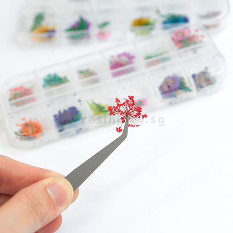 Metal Tweezers